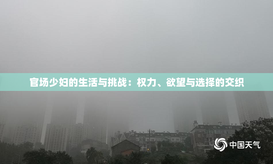 官场少妇的生活与挑战：权力、欲望与选择的交织