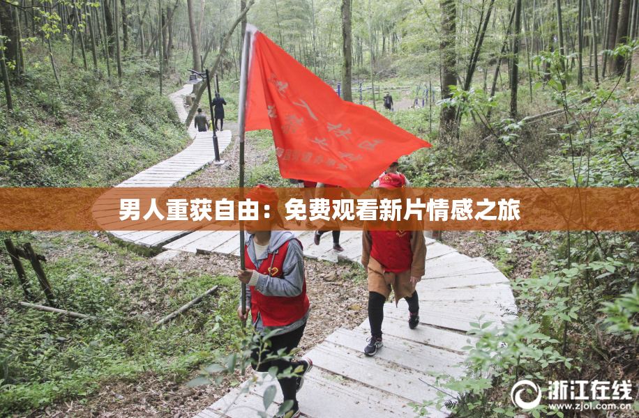 男人重获自由：免费观看新片情感之旅