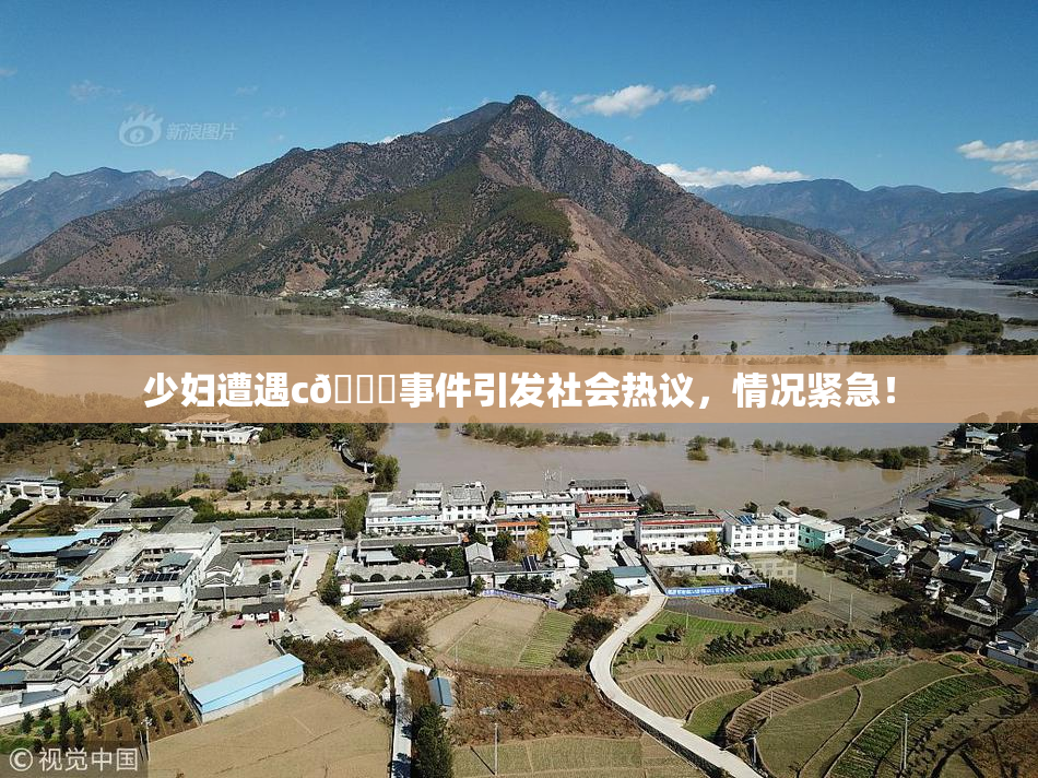 少妇遭遇c🔞事件引发社会热议，情况紧急！