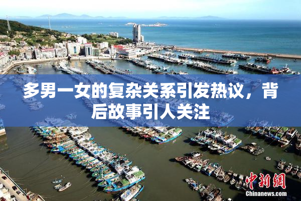 多男一女的复杂关系引发热议，背后故事引人关注