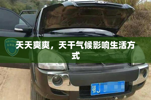天天爽爽，天干气候影响生活方式