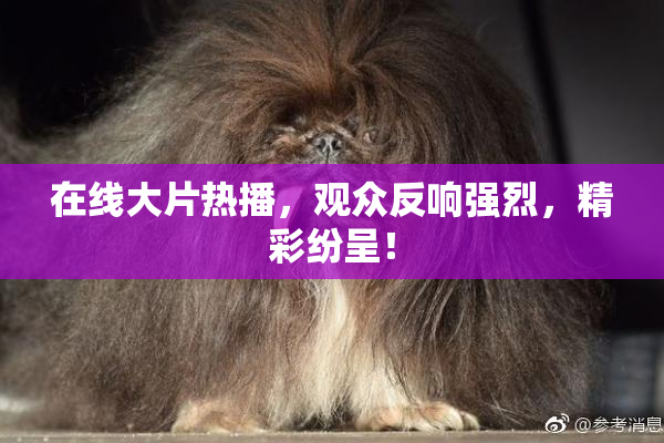 在线大片热播，观众反响强烈，精彩纷呈！