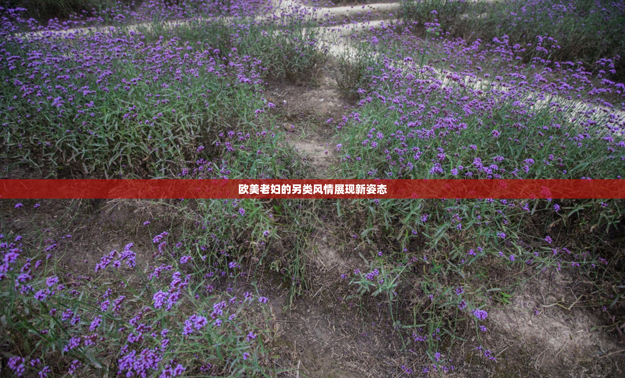 欧美老妇的另类风情展现新姿态