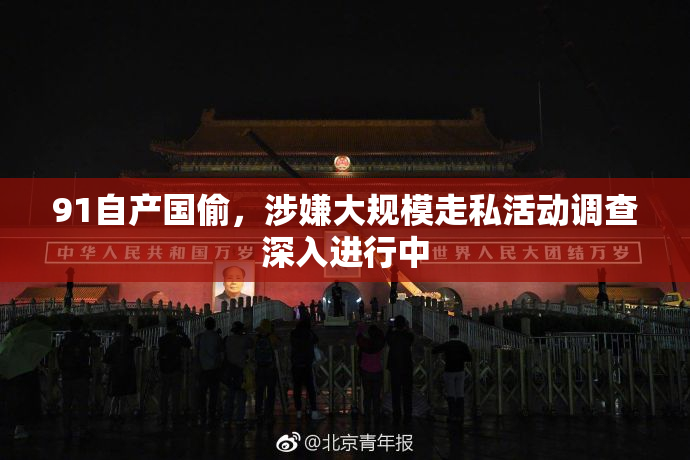 91自产国偷，涉嫌大规模走私活动调查深入进行中