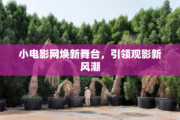 小电影网焕新舞台，引领观影新风潮