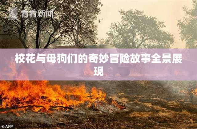校花与母狗们的奇妙冒险故事全景展现