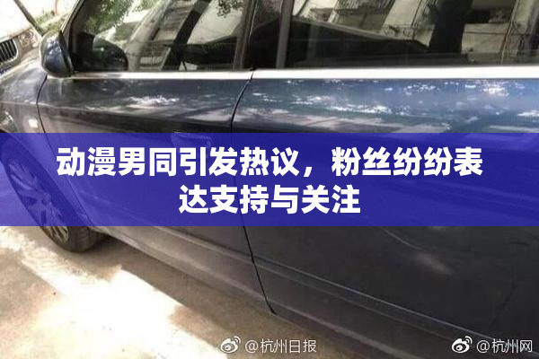 动漫男同引发热议，粉丝纷纷表达支持与关注