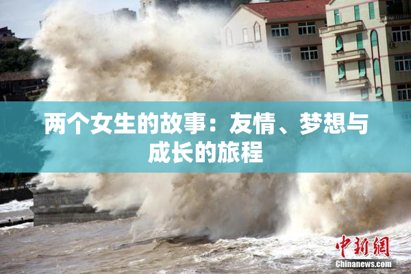 两个女生的故事：友情、梦想与成长的旅程