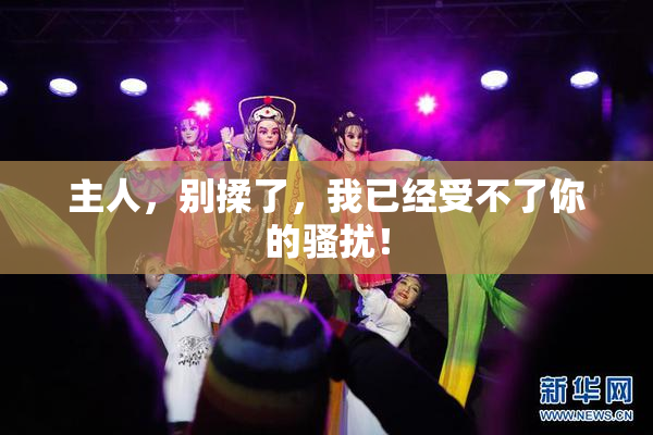 主人，别揉了，我已经受不了你的骚扰！