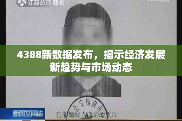 4388新数据发布，揭示经济发展新趋势与市场动态