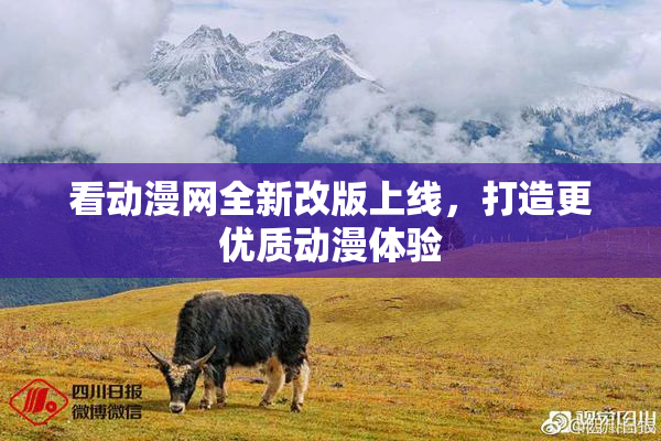看动漫网全新改版上线，打造更优质动漫体验