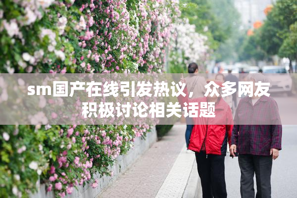 sm国产在线引发热议，众多网友积极讨论相关话题