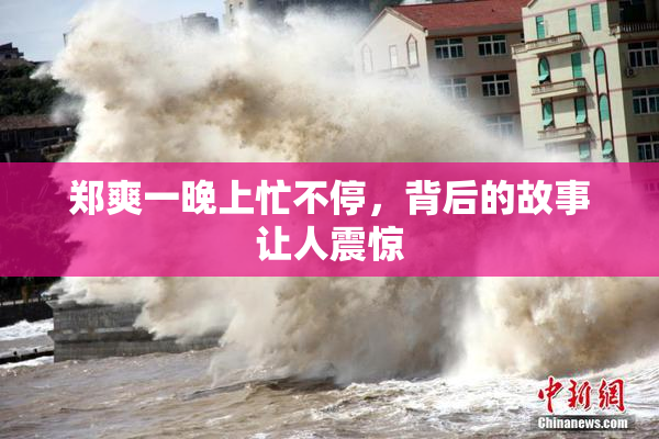 郑爽一晚上忙不停，背后的故事让人震惊