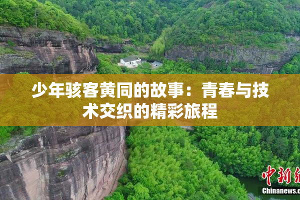 少年骇客黄同的故事：青春与技术交织的精彩旅程
