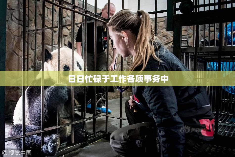日日忙碌于工作各项事务中