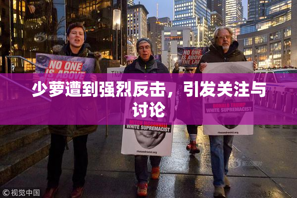 少萝遭到强烈反击，引发关注与讨论