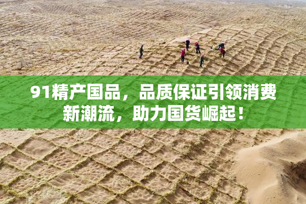 91精产国品，品质保证引领消费新潮流，助力国货崛起！