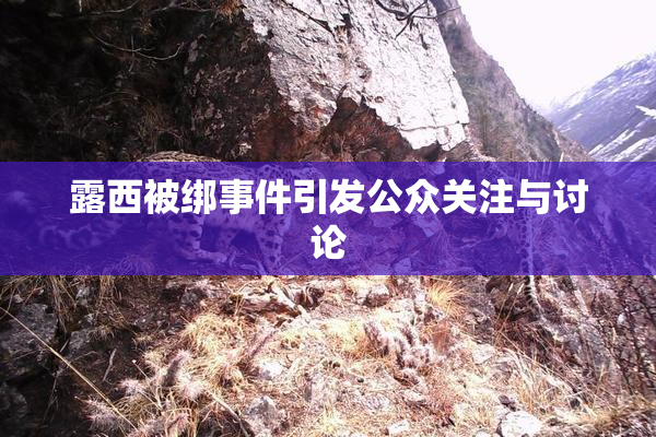 露西被绑事件引发公众关注与讨论
