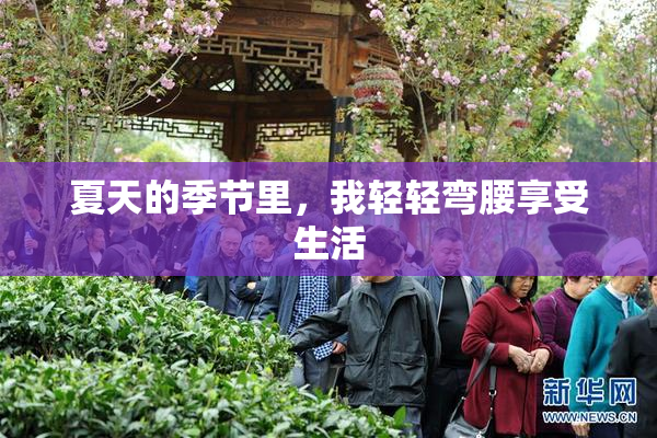 夏天的季节里，我轻轻弯腰享受生活