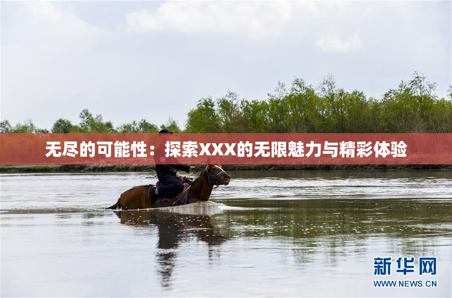 无尽的可能性：探索XXX的无限魅力与精彩体验