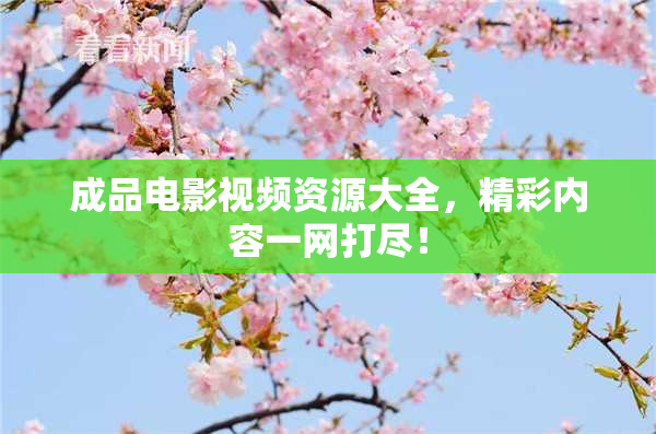 成品电影视频资源大全，精彩内容一网打尽！