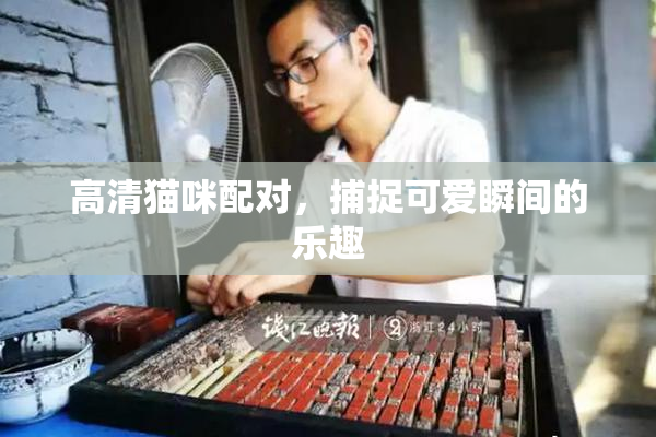 高清猫咪配对，捕捉可爱瞬间的乐趣