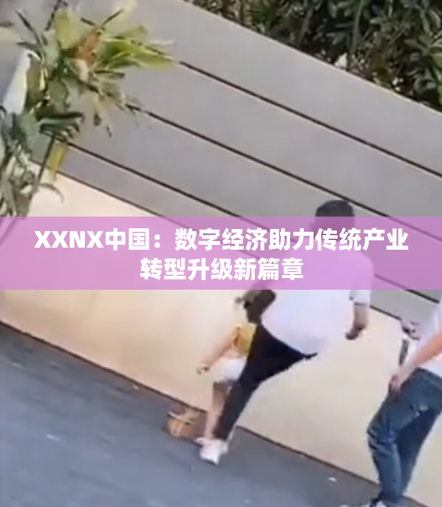 XXNX中国：数字经济助力传统产业转型升级新篇章
