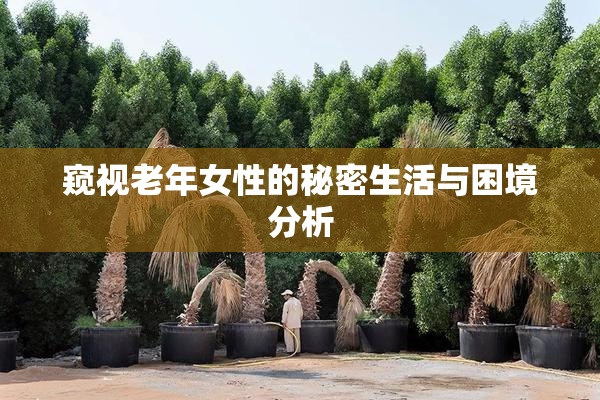 窥视老年女性的秘密生活与困境分析