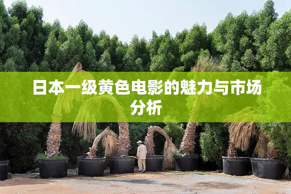日本一级黄色电影的魅力与市场分析