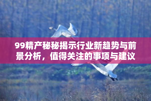 99精产秘秘揭示行业新趋势与前景分析，值得关注的事项与建议