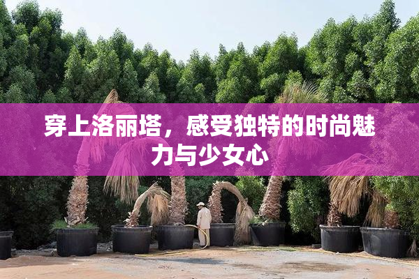 穿上洛丽塔，感受独特的时尚魅力与少女心