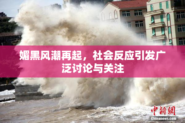 媚黑风潮再起，社会反应引发广泛讨论与关注