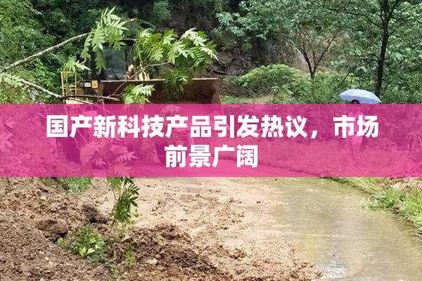 国产新科技产品引发热议，市场前景广阔