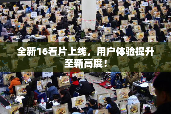 全新16看片上线，用户体验提升至新高度！
