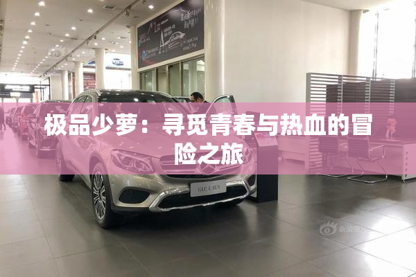 极品少萝：寻觅青春与热血的冒险之旅