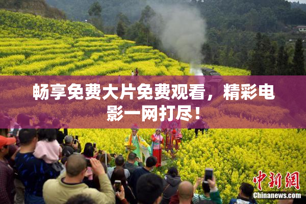 畅享免费大片免费观看，精彩电影一网打尽！
