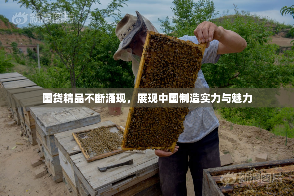 国货精品不断涌现，展现中国制造实力与魅力