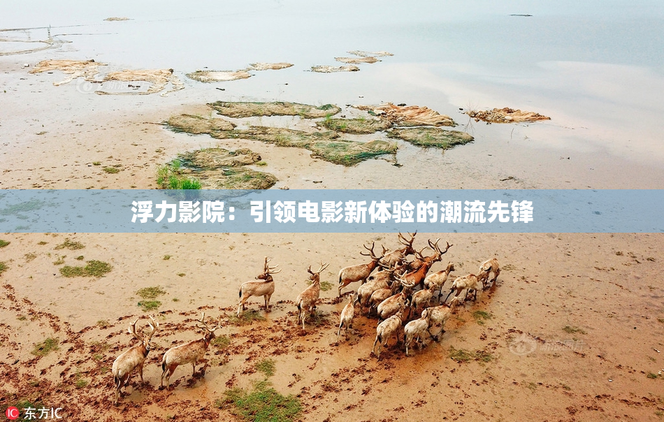 浮力影院：引领电影新体验的潮流先锋