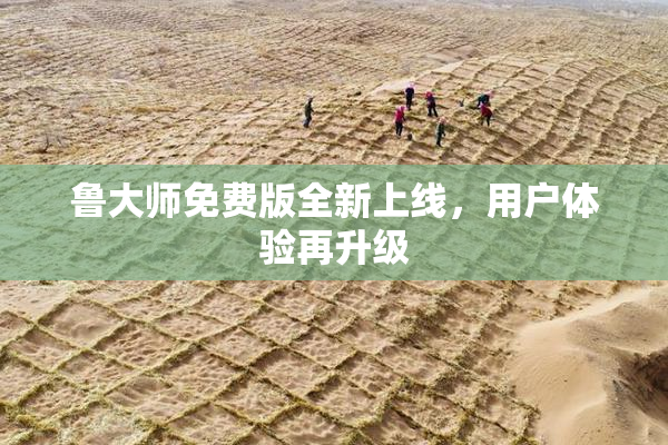 鲁大师免费版全新上线，用户体验再升级