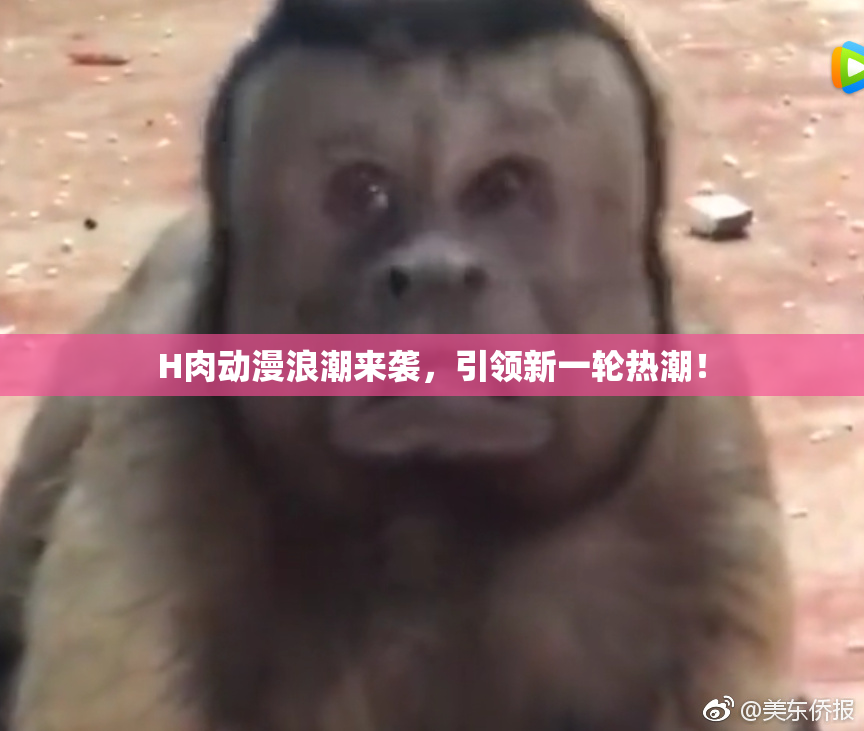 H肉动漫浪潮来袭，引领新一轮热潮！