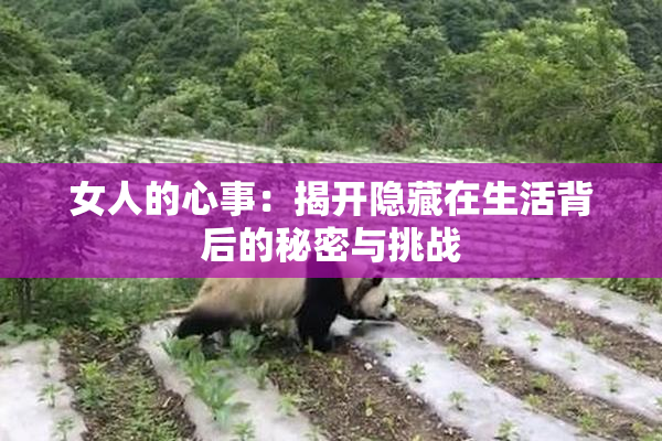 女人的心事：揭开隐藏在生活背后的秘密与挑战