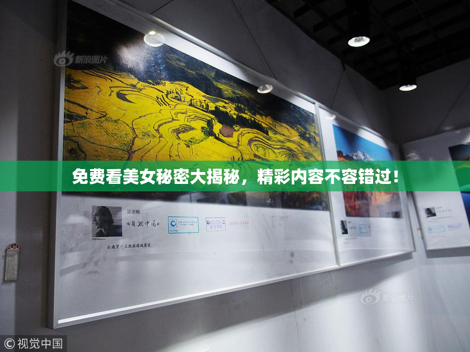 免费看美女秘密大揭秘，精彩内容不容错过！