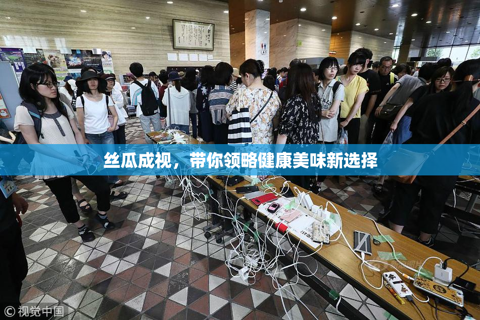 丝瓜成视，带你领略健康美味新选择