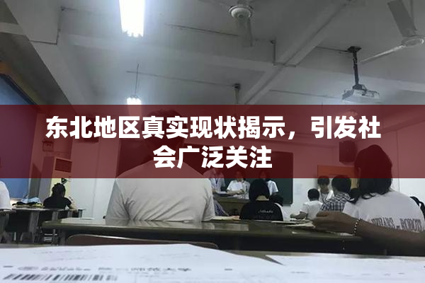 东北地区真实现状揭示，引发社会广泛关注