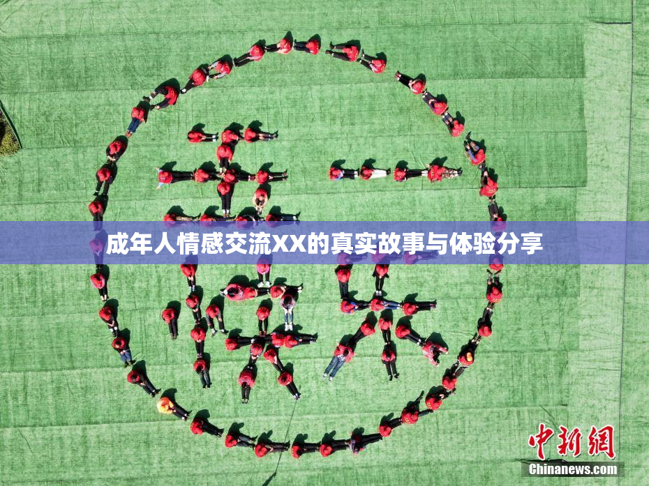 成年人情感交流XX的真实故事与体验分享