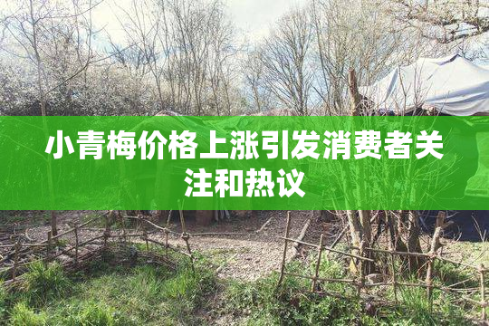 小青梅价格上涨引发消费者关注和热议