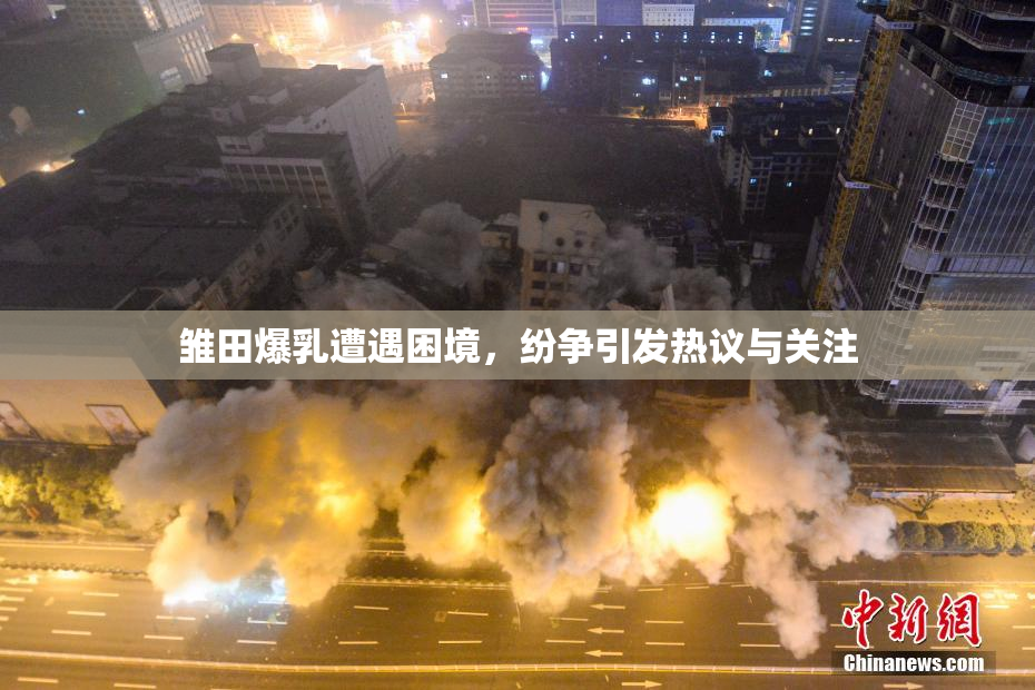 雏田爆乳遭遇困境，纷争引发热议与关注