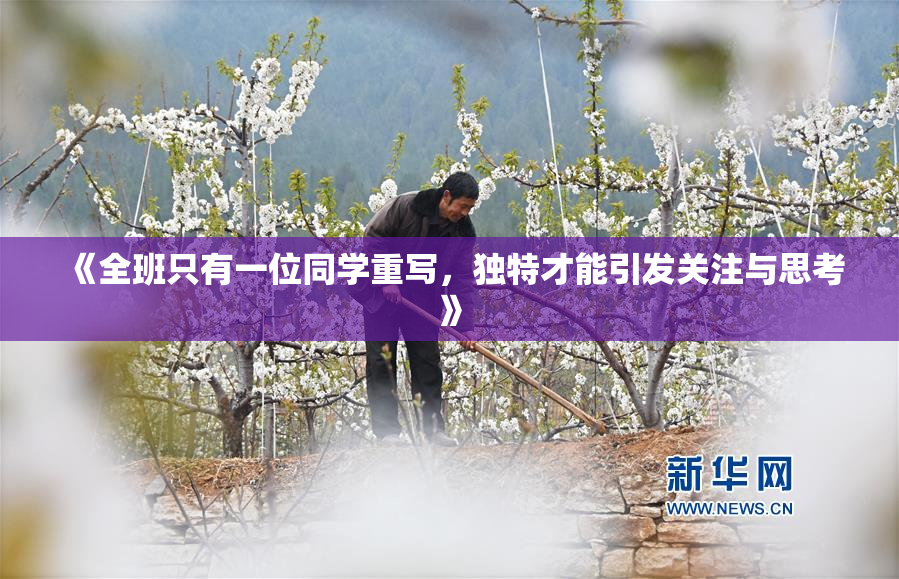 《全班只有一位同学重写，独特才能引发关注与思考》
