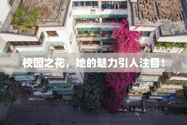 校园之花，她的魅力引人注目！