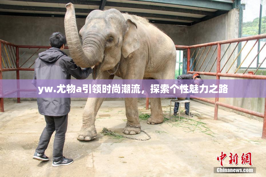 yw.尤物a引领时尚潮流，探索个性魅力之路
